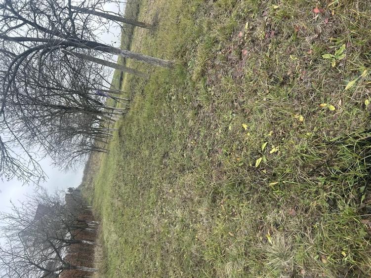 Teren de 2600 mp, în Alparea