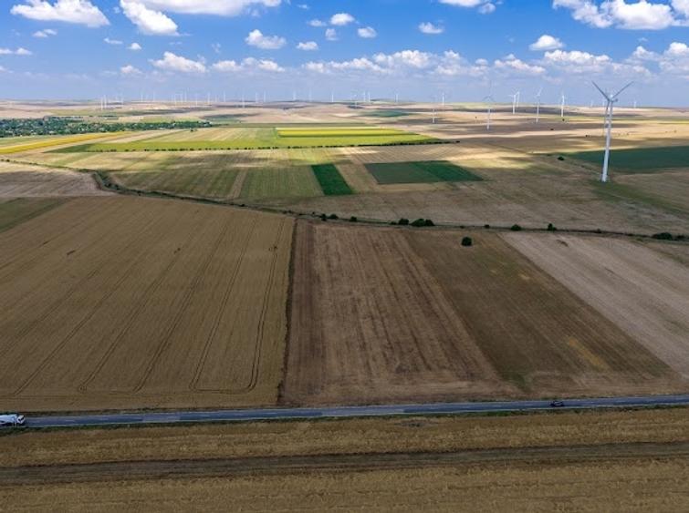 Teren agricol extravilan de 30000 mp, în Valea Nucarilor