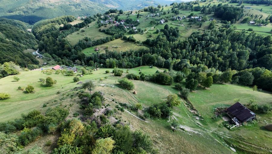 Teren Construcții intravilan de 10479 mp, în Răchițele