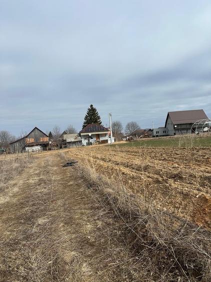 Teren agricol extravilan de 3932 mp, în Râșca