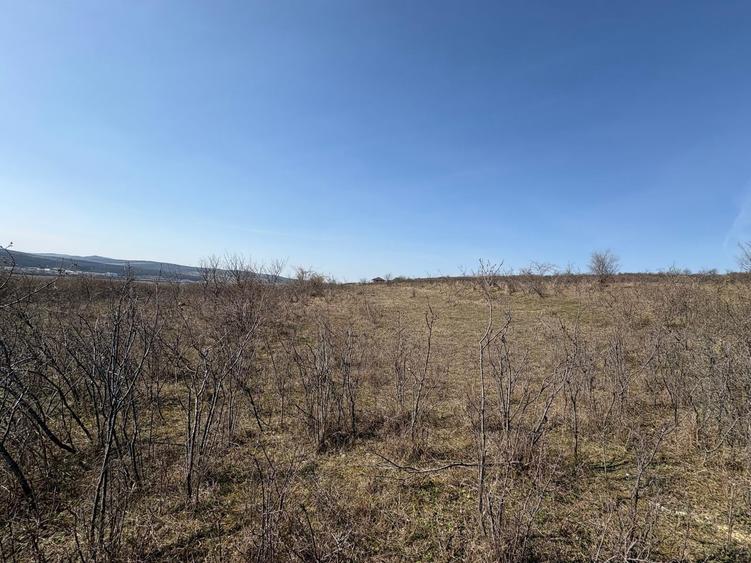 Teren Construcții intravilan de 5800 mp, în Crișeni