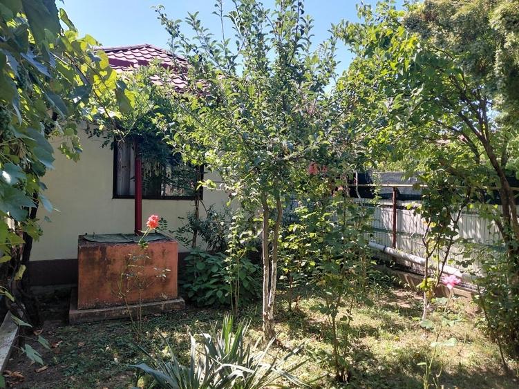 Casă individuală cu 3 camere cu Canalizare în Blejoi