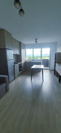 Studio/Apartament de inchiriat Subcetate Sanpetru Brasov - 3
