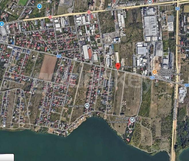 Teren Construcții intravilan de 21674 mp, în Sud