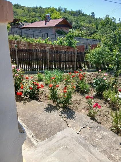 Casa de vanzare - 7
