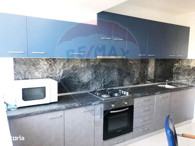Apartament 2 camere de inchiriat Aviatiei / Smaranda Braescu - 14