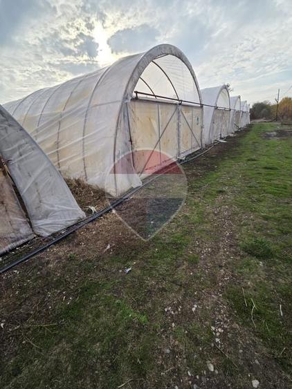 Teren agricol intravilan de 24732 mp, în Vest