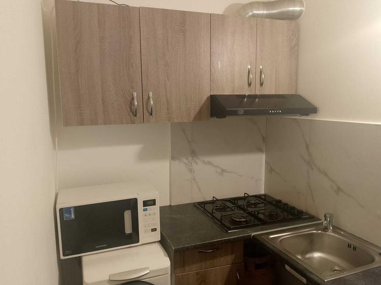 Propietar inchiriez garsoniera zona UMT (Petfriendly) - 7