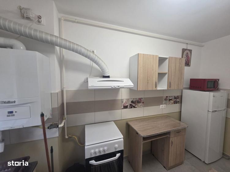 Inchiriez 2 camere plus dresing Avantgarden Bartolomeu Pet Friendly - 12
