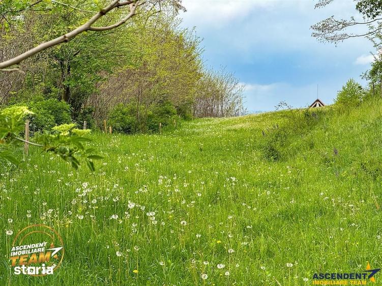 Teren de 1307 mp, în Micfalău