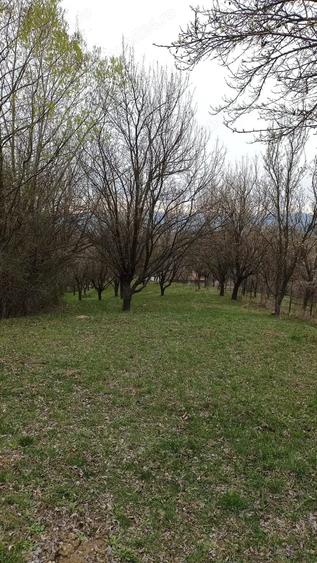 Teren în Romanești