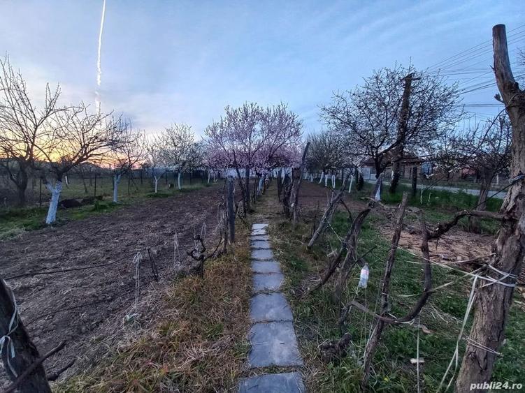 Casă cu 3 camere în Bocsig