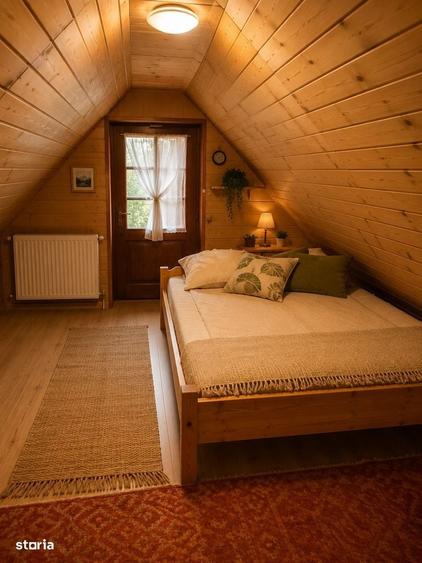 Casa de vacanta in Campu Cetatii,teren 2.400 mp, langa rau si padure - 10