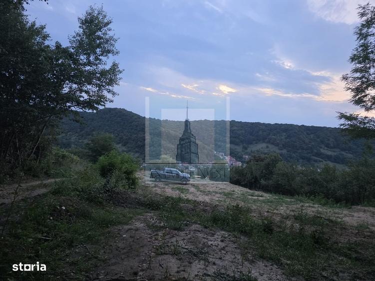 Spațiu comercial, în Angofa