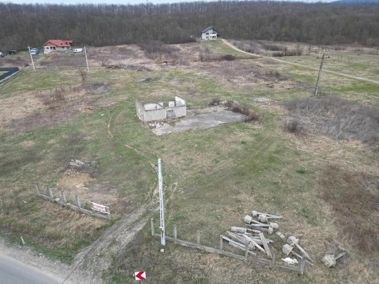 Teren Construcții intravilan de 3758 mp, în Mogoșești