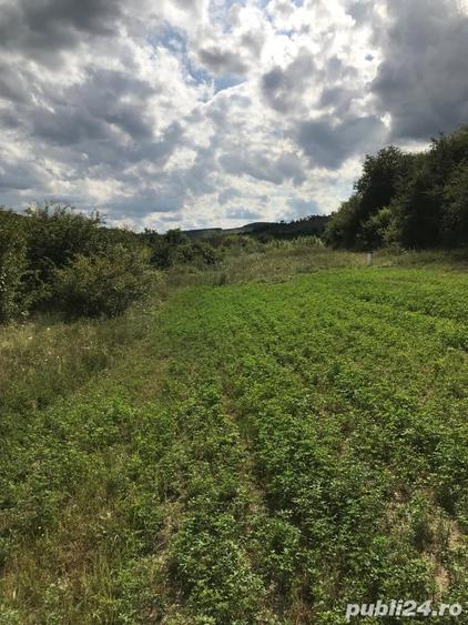 Teren de 11500 mp, în Micăsasa