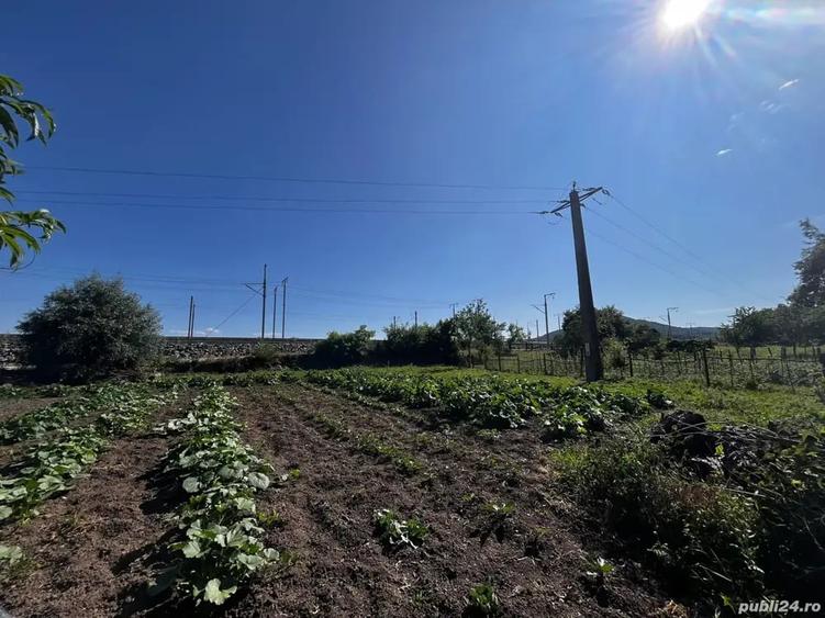 Casă cu 5 camere cu Teren 1800 Mp în Hunedoara