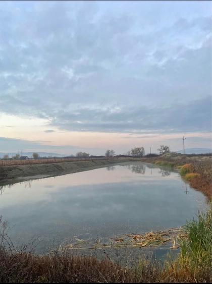 Teren de 8700 mp, în Coșlariu