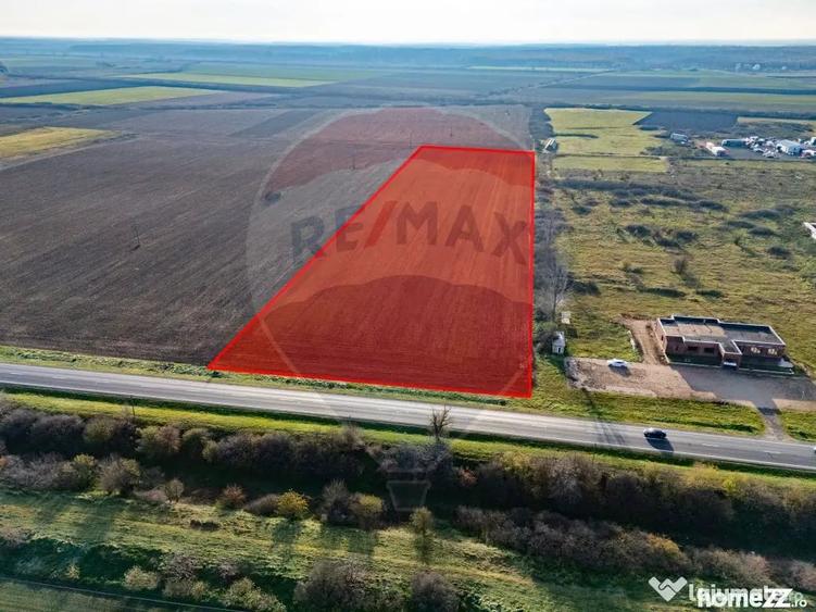 Teren 29220 mp Pecica,DN7, langa autostrada- Ideal pentru afaceri - Pecica (Arad) - 8