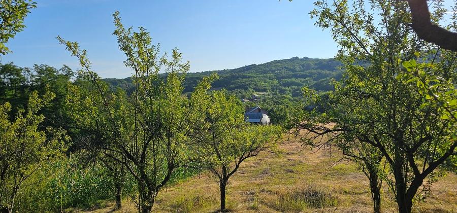 Casă individuală cu 2 camere cu Canalizare în Mitrofani