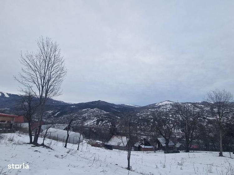 Casă cu 4 camere cu Teren 12000 Mp în Central