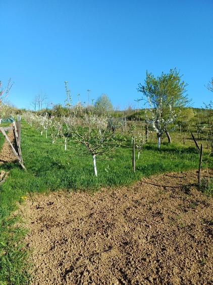 Teren de 940 mp, în Dudașu