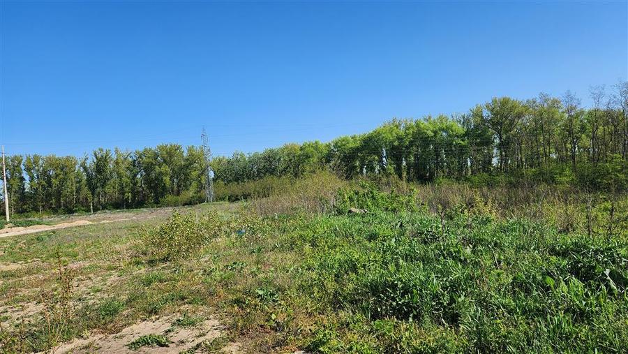 Teren extravilan de 180000 mp, în Șcheia