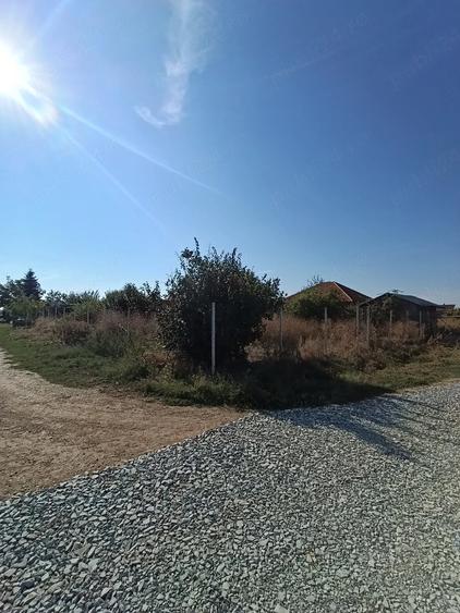 Teren de 780 mp, în Berceni