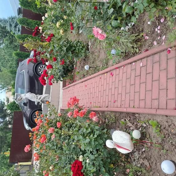 Casă cu 5 camere cu Teren 500 Mp în Exterior Vest