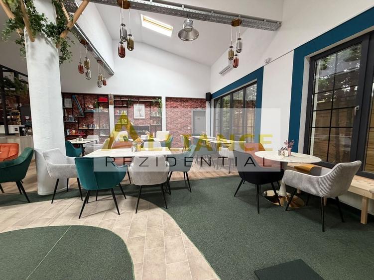 Proprietate specială, de 260 mp, în Berceni