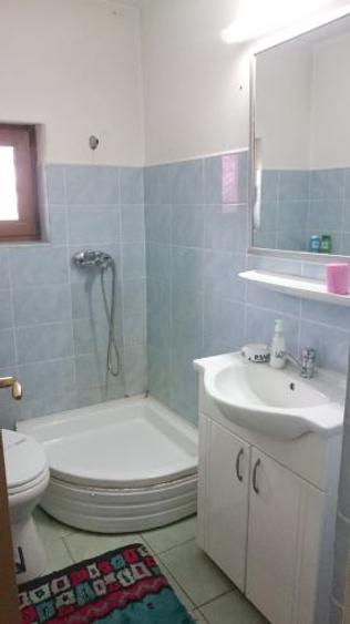 Spațiu comercial, 400 mp în Surduc
