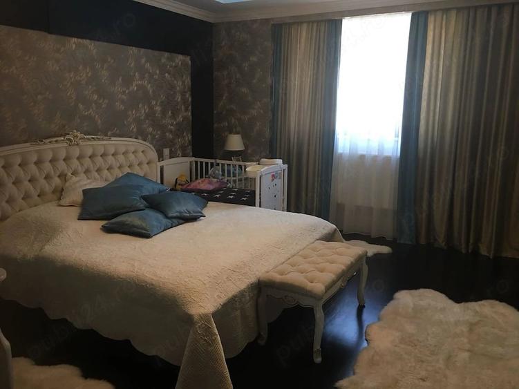 Casa de vanzare cu domeniu generos de 5.000 mp (50 ari) Geoagiu, Hunedoara - 6