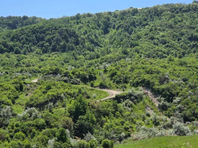 Casa de vanzare, jud prahova la 12km de valenii de munte - 5
