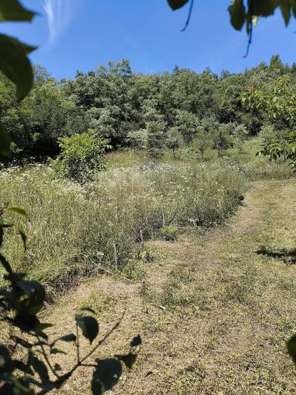 Teren de 1700 mp, în Viștea