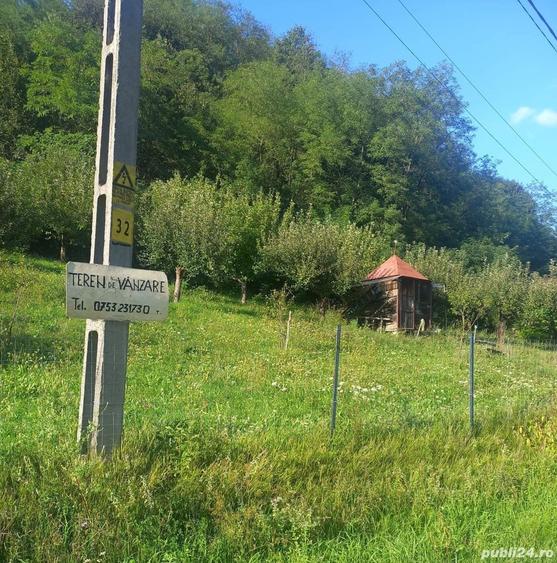 Teren de 7000 mp, în Voia