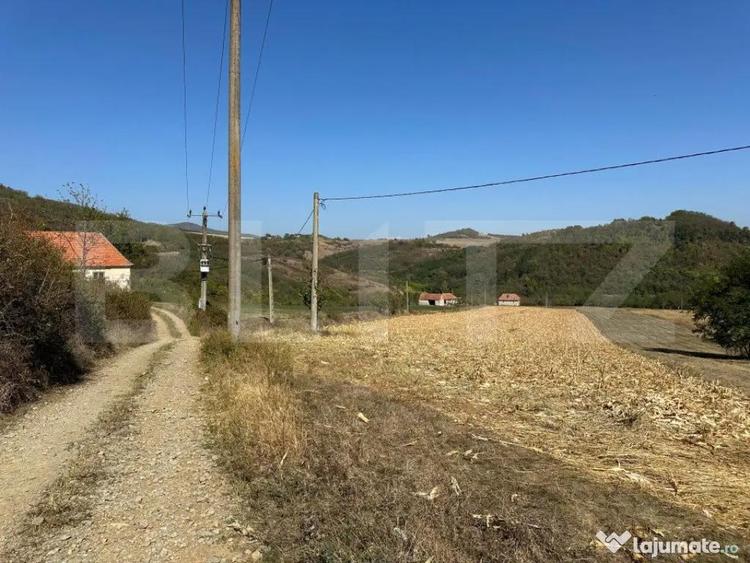 Teren intravilan de vanzare 14000mp,ideal pentru investitie, - 3