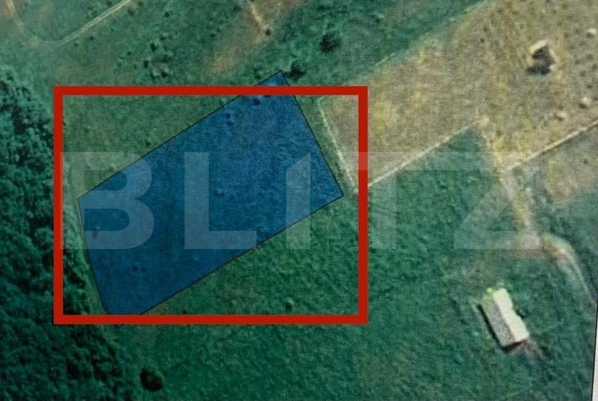 Teren Construcții intravilan de 4550 mp, în Cetate