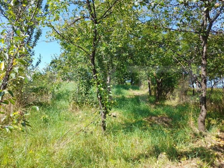Casă individuală cu 3 camere cu Teren 700 Mp în Năsăud