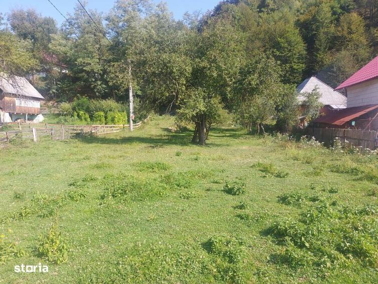 Teren de 1784 mp, în Avram Iancu