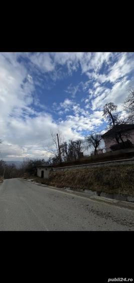 Teren de 24000 mp, în Nucșoara