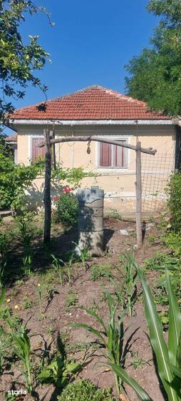 Casă cu 5 camere cu Teren 2065 Mp în Zărnești
