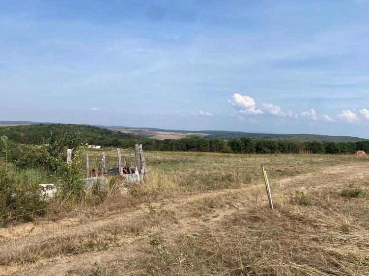 Spațiu comercial, în Săldăbagiu de Munte