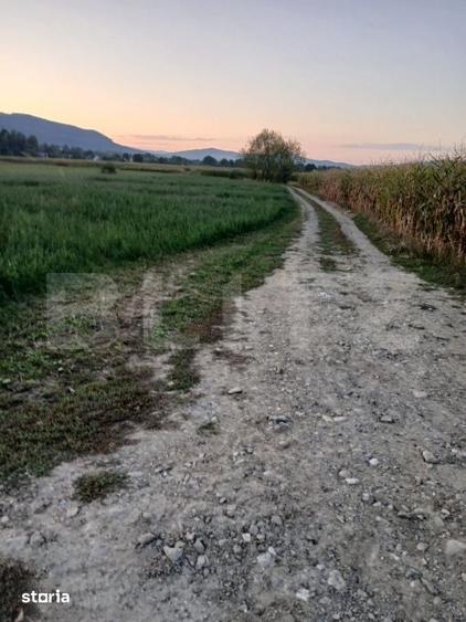 Teren de 2818 mp, în Dorobanți