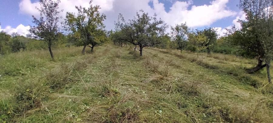 Casă cu Teren 12000 Mp în Suslănești