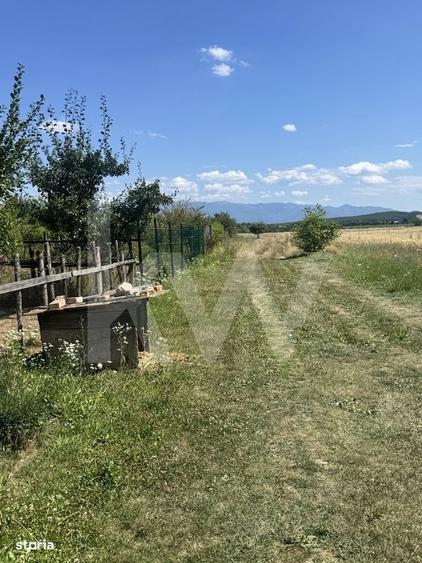 Teren 720 mp Sevis | 23 m front | Oportunitate investitie 24.480 - 3