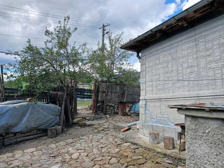 Casă cu 4 camere în Trestia