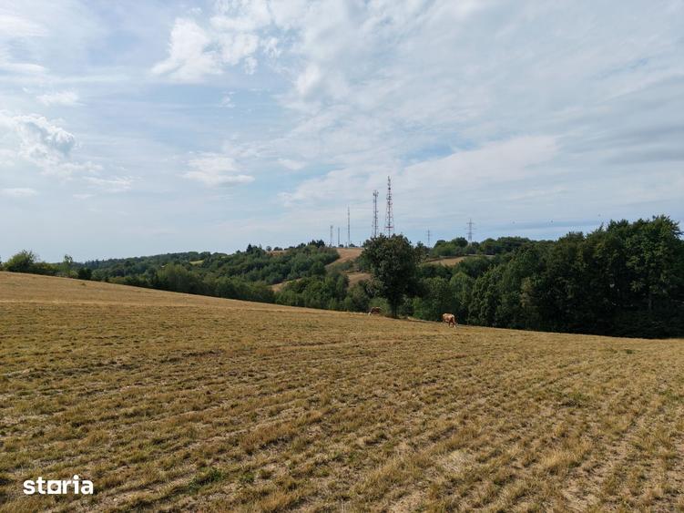 Teren de 17800 mp, în Șinteu