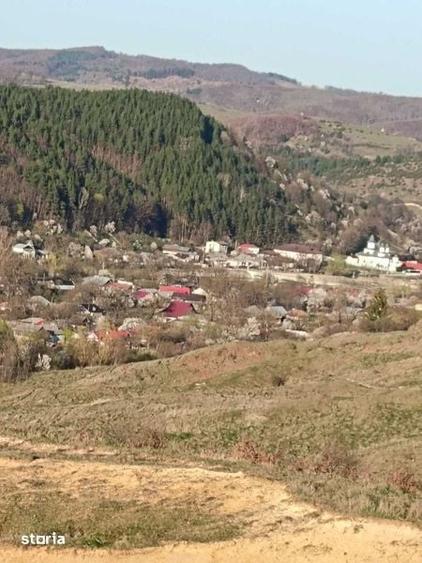 Teren de 10000 mp, în Câmpuri