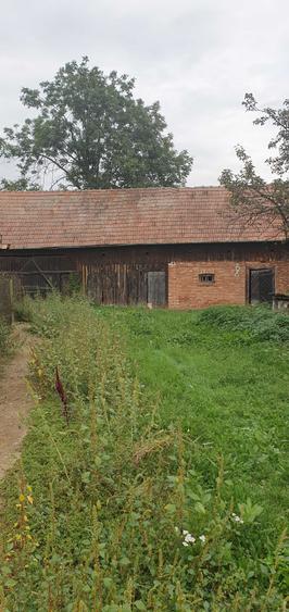 Casă cu 2 camere în Bădeni