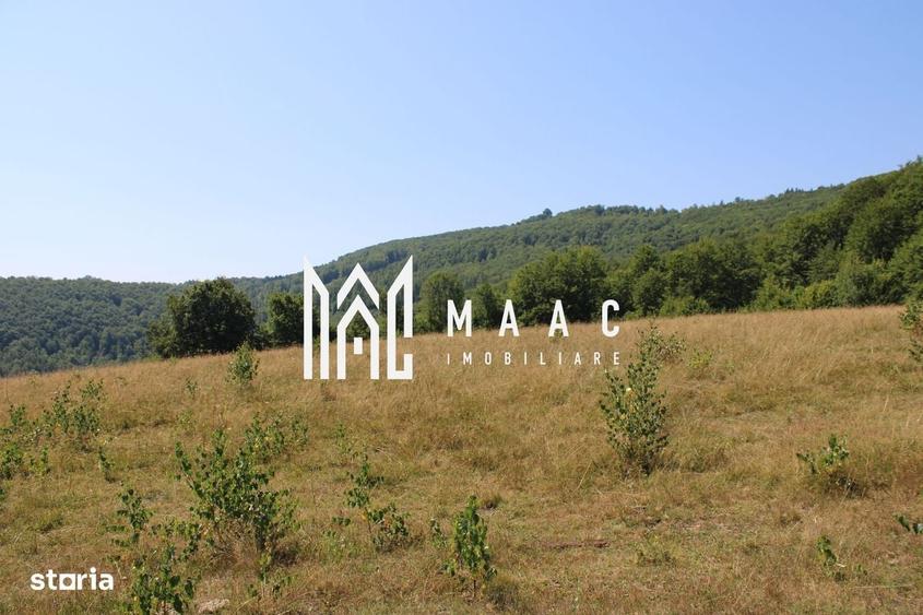 Spațiu comercial, în Cărpiniș